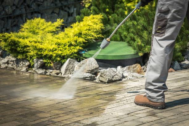 Best Dumpster Area Cleaning  in Palm River Clair Mel, FL